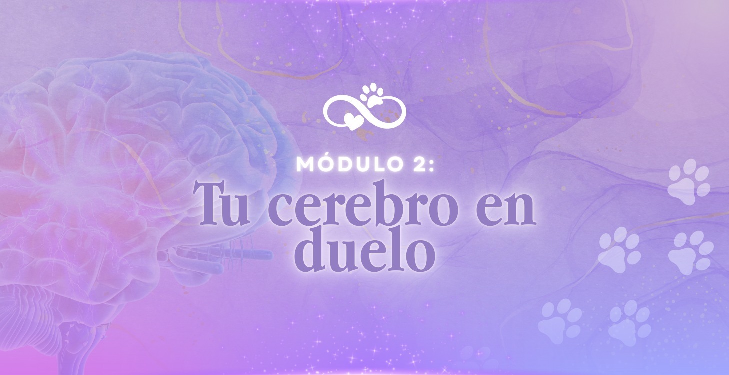Tu cerebro en duelo