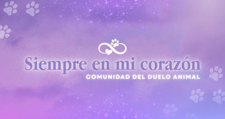 Siempre en mi Corazón