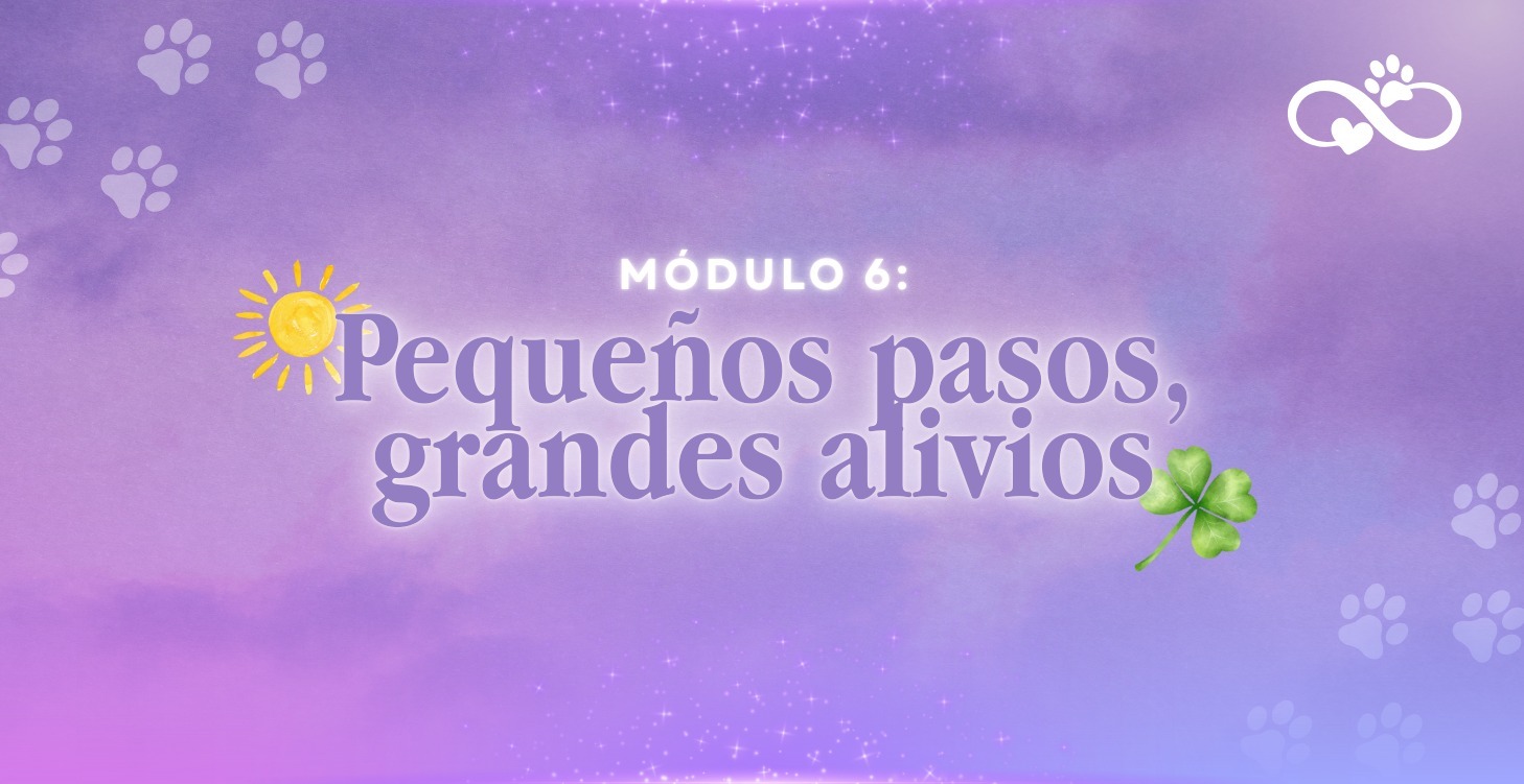 Pequeños pasos, grandes alivios