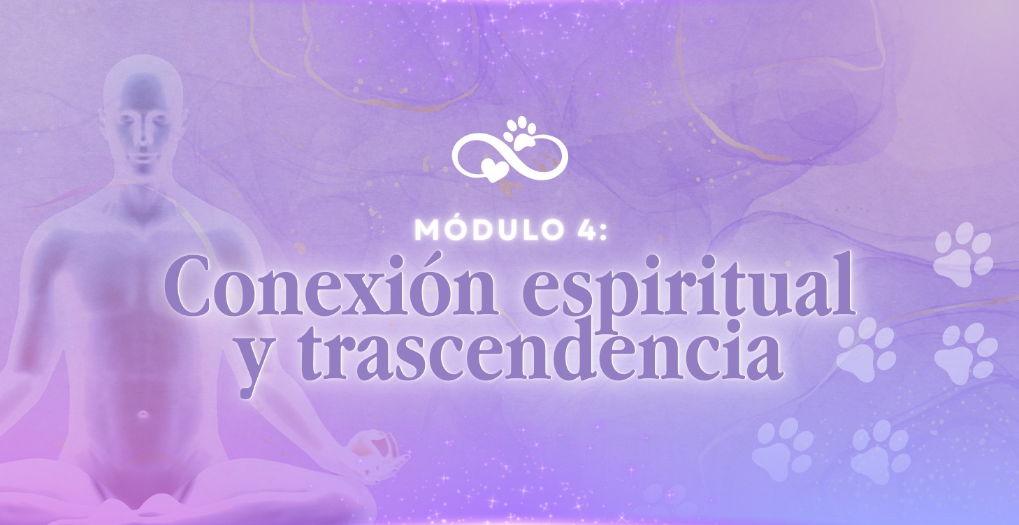 Conexión espiritual y trascendencia