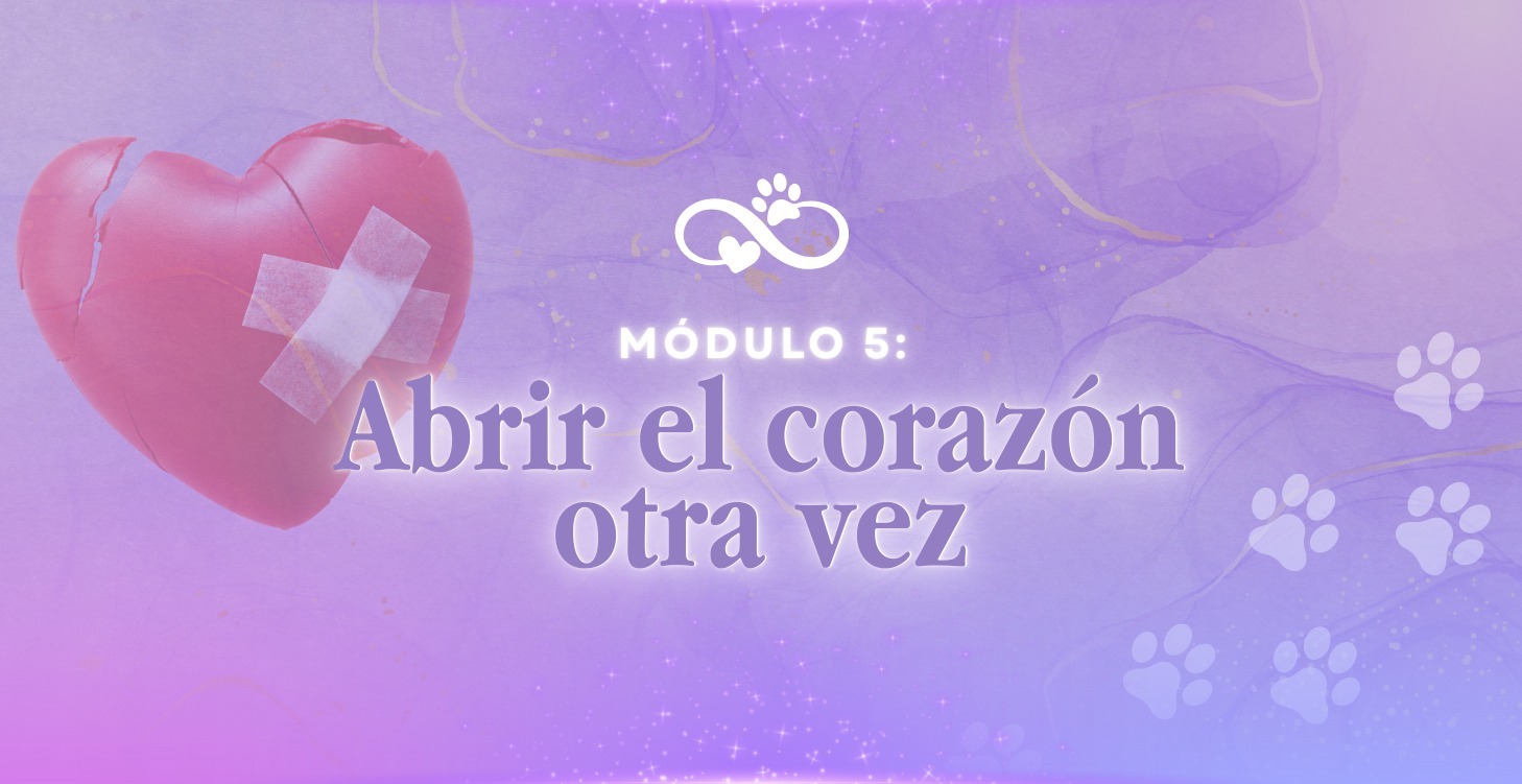 Abrir el corazón otra vez