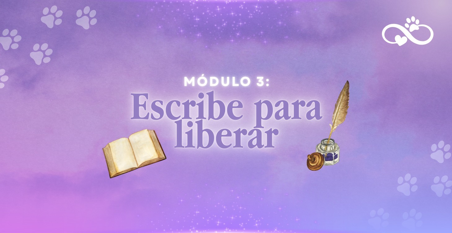 Escribe para liberar