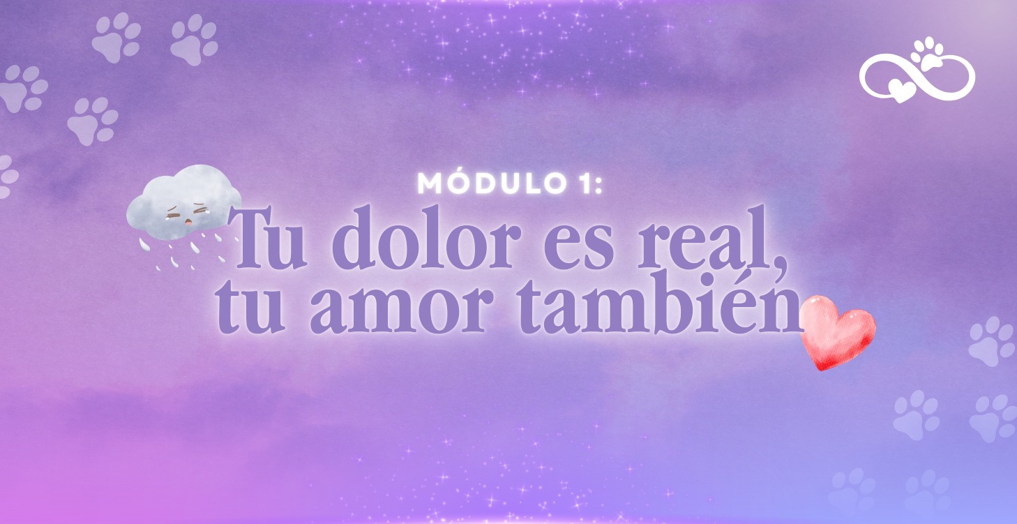 Tu dolor es real, tu amor también