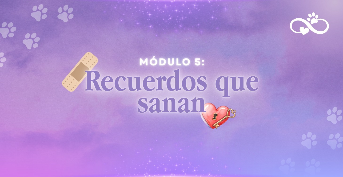 Recuerdos que sanan