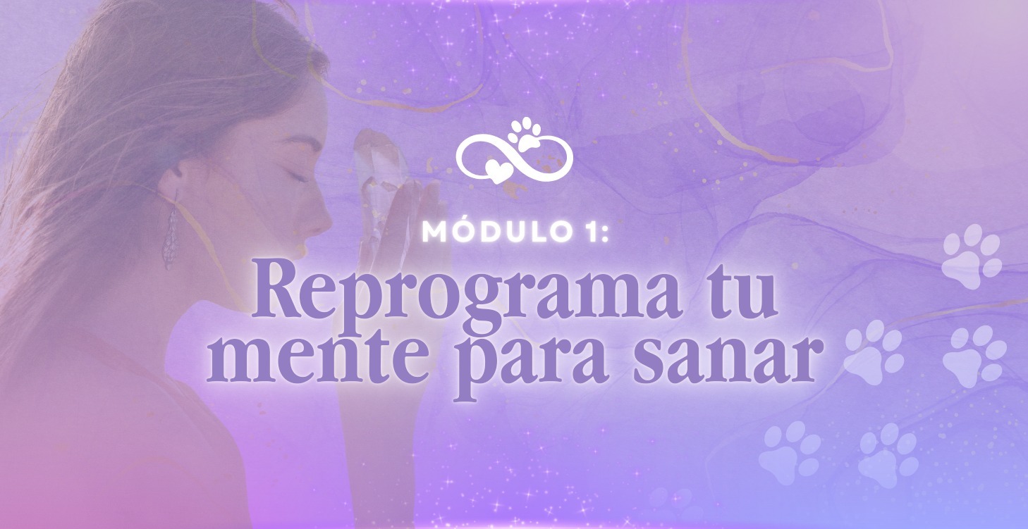 Reprograma tu mente para sanar