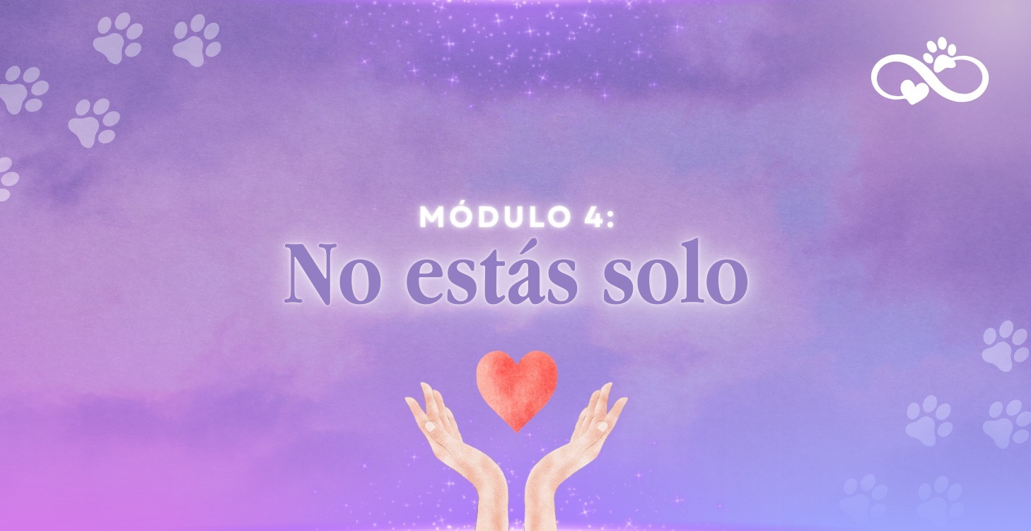 No estás solo
