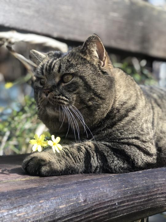 Happy Birthday, Mukijs! 🎉🐾