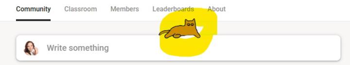 Let there be a cat!