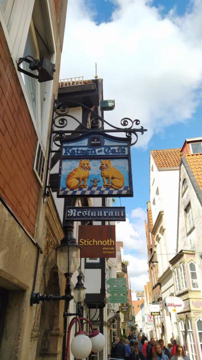 🐾 Funny places with cats in names or logos