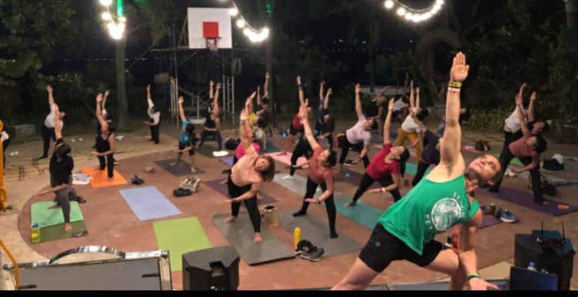 yoga basics free course 8 classes