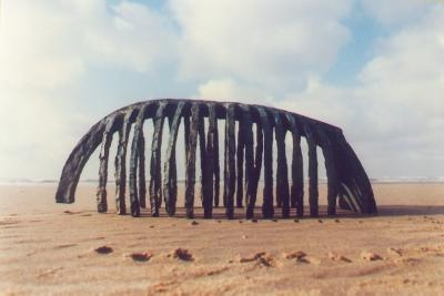 Michel van der Hoeven