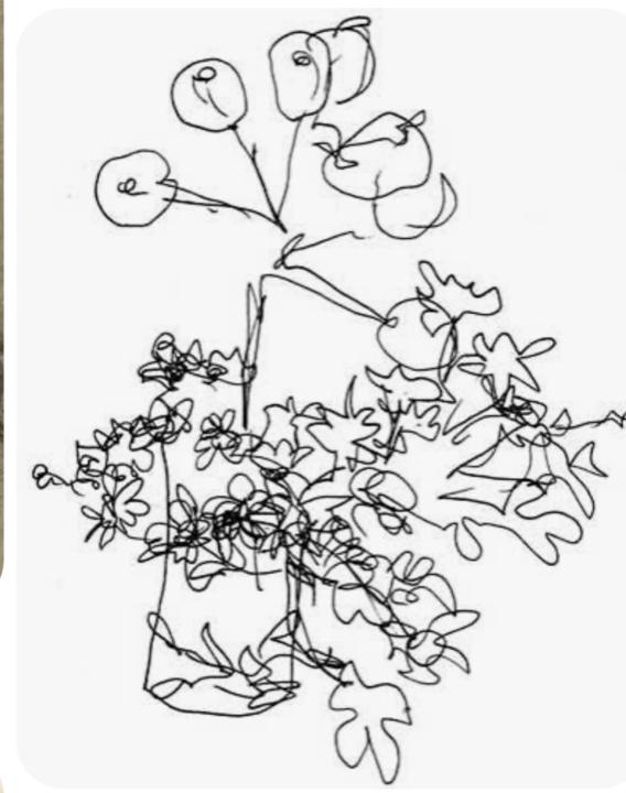 🌺🧑‍🎨 Blind Contour Drawing 🧑‍🎨🌺