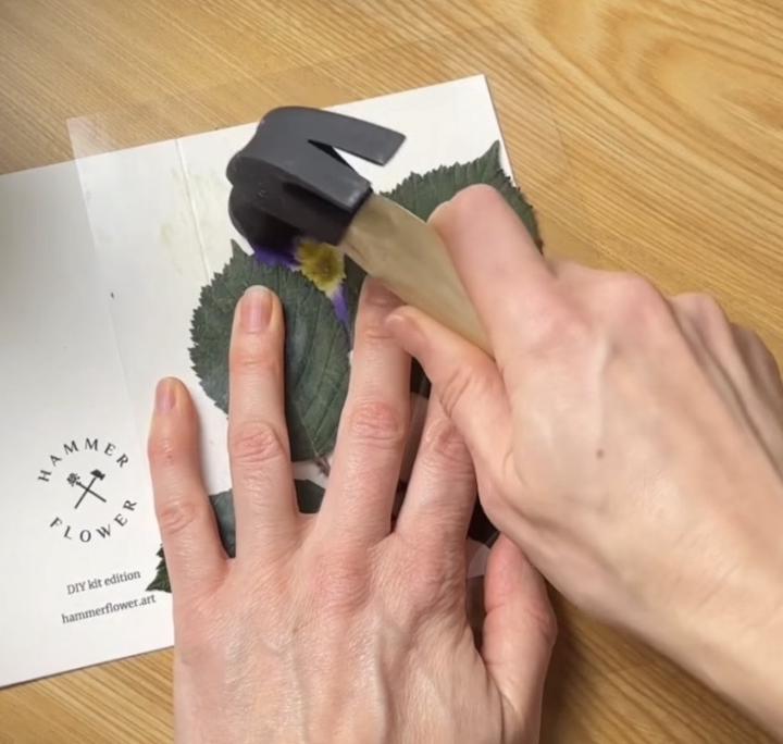 Flower 🌷 hammering 🔨 