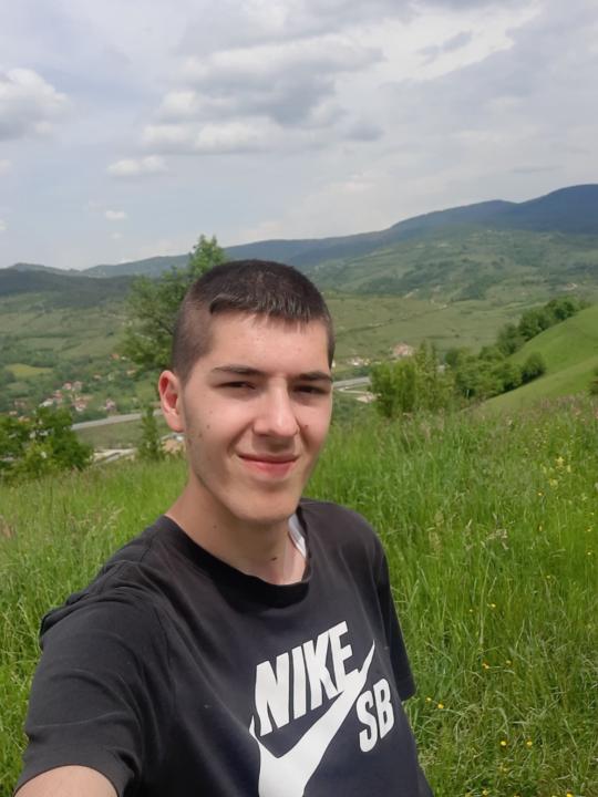 Burhan Selimovic
