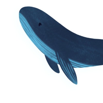 Formally Shark