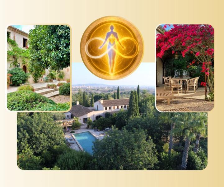 Ein neuer Raum entsteht auf der Insel 🏝️