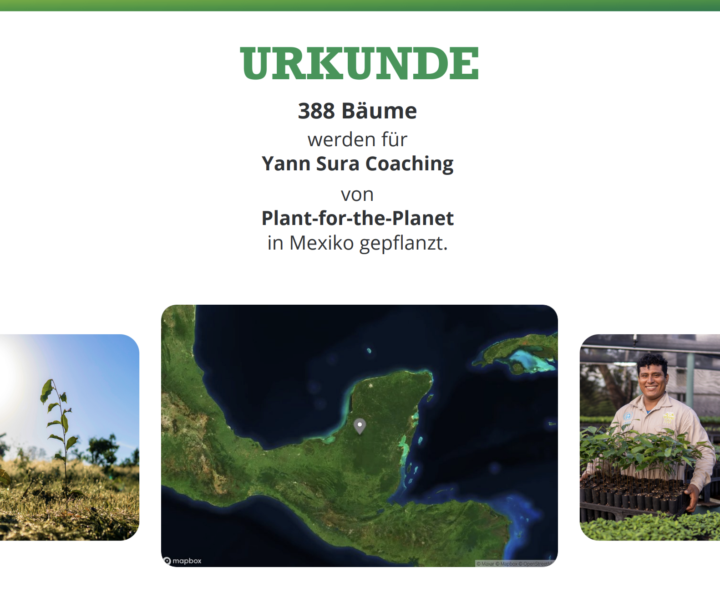 SPENDE: 388 Bäume im Zeichen der Fülle 🌳👑 