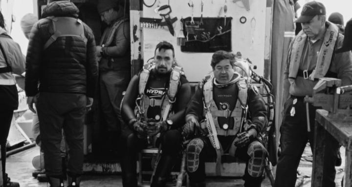 Buceo sur de chile
