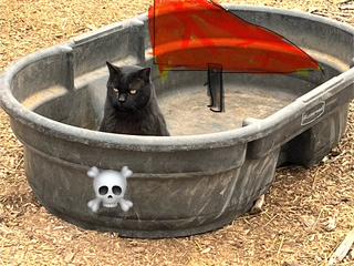 Fri - Mar 20. Please Bring Us a Friday Funny! 