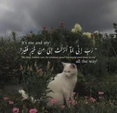 Sharmeen Zafar