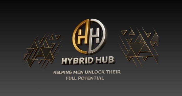 Hybrid Hub