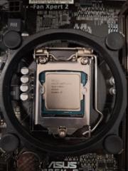 Aron-Aldo-Arie Schäfer