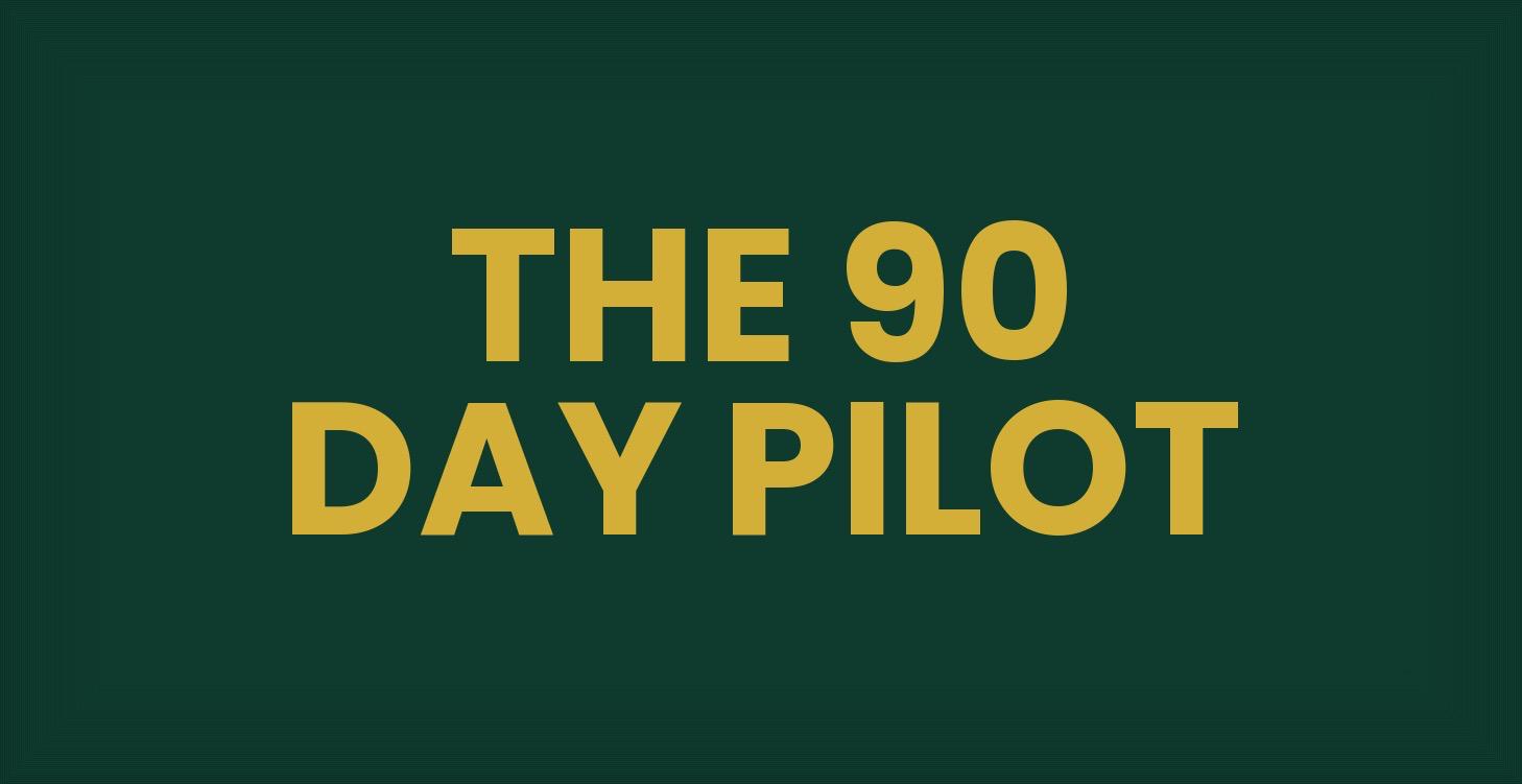THE 90 DAY PILOT (Paid Course 2)
