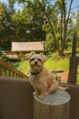 Jonnathan Guartatanga