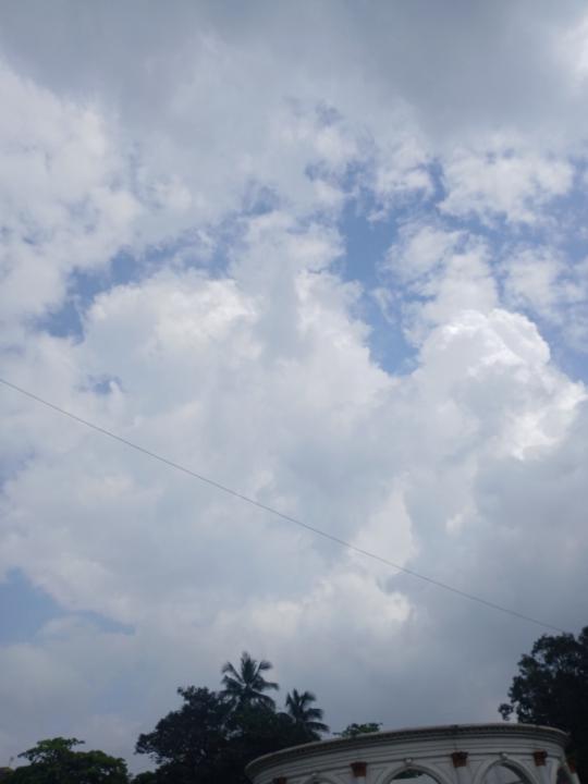 Agasti Tiwari