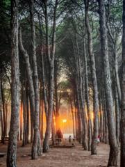 حسين وعليلي