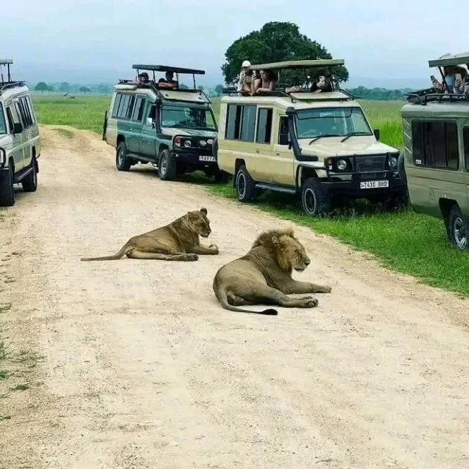 Goolo trekkers limited Uganda