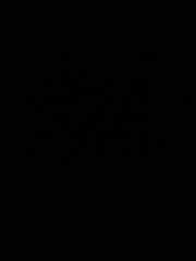 Bini Bani