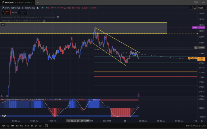 What do you guys think?