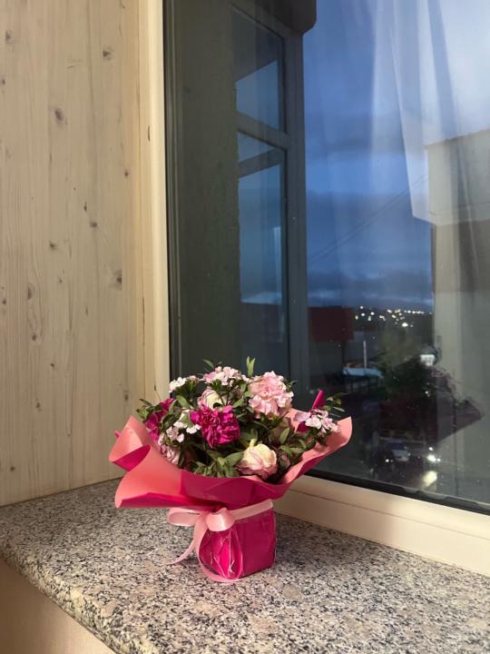 Maralmaa Erdenebaatar maralmaa