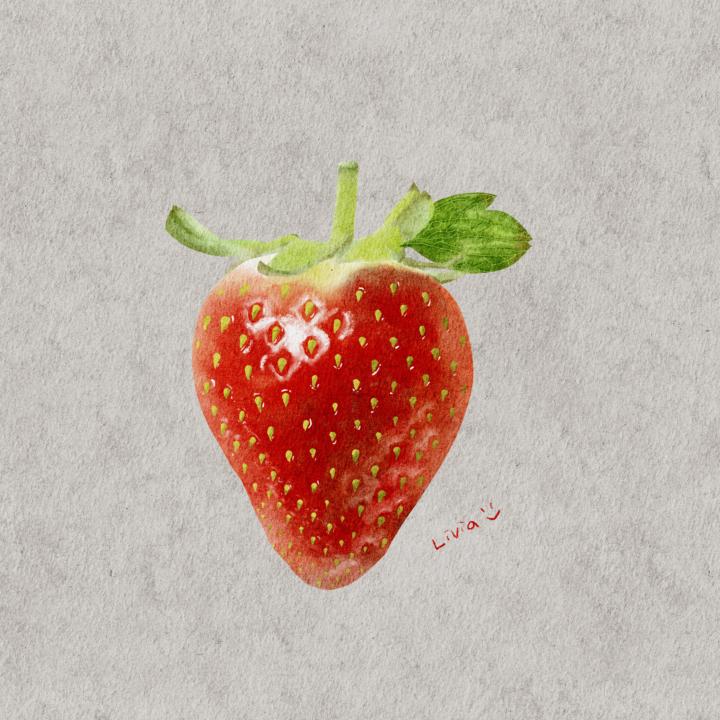 草莓跟畫作品分享🍓