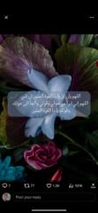 Arwa M