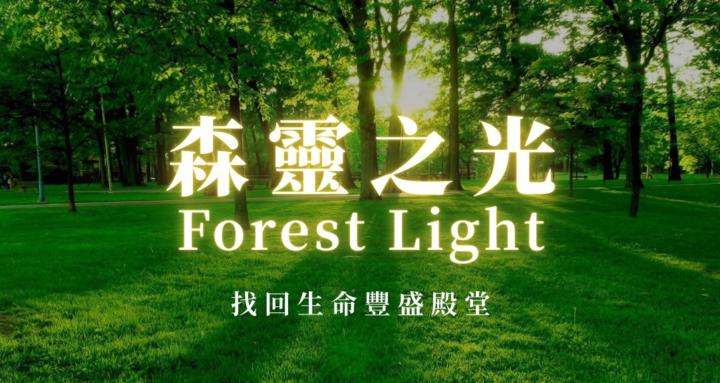 森靈之光｜Forest Light