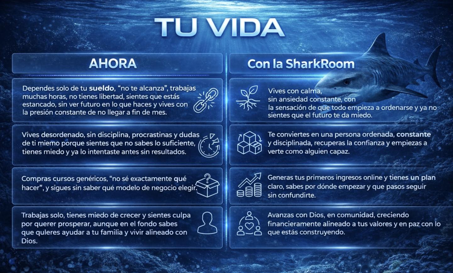 🦈 SHARKROOM