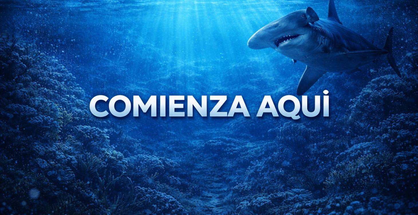 COMIENZA AQUI 🔓