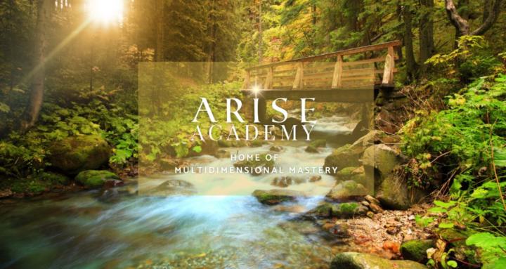 ARISE Academy Community