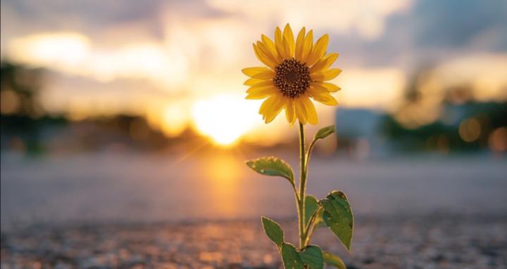 Life Interruptions Community