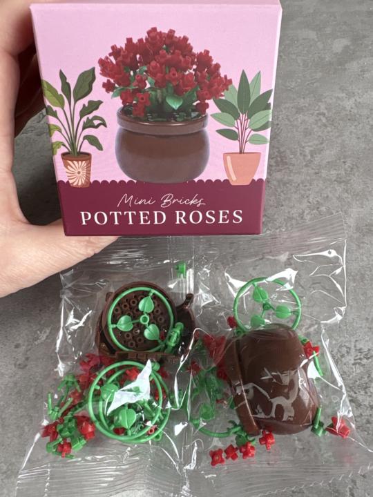 A different kind of puzzle!