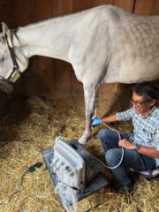 Mario Alejandro Hernandez Escobar