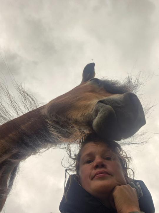 Elina Forsell