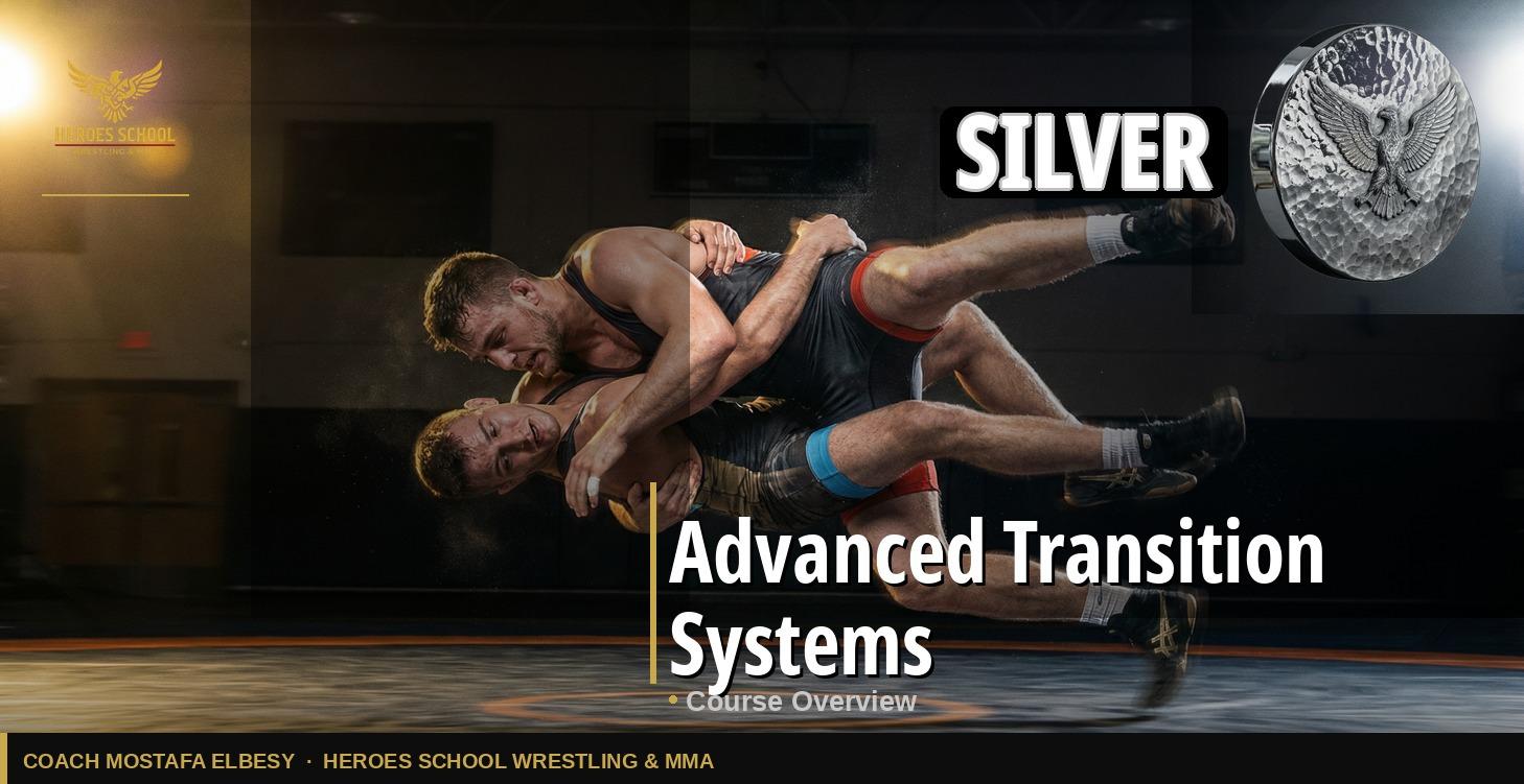 Advanced Transition Systems
