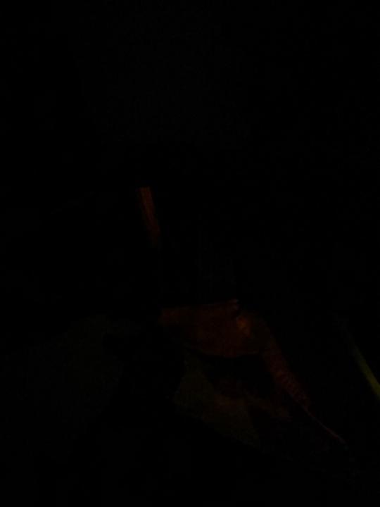 Kanwar jas gurnoor singh Singh