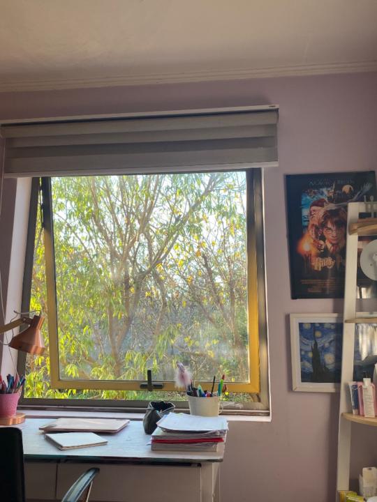 Consu Vasquez