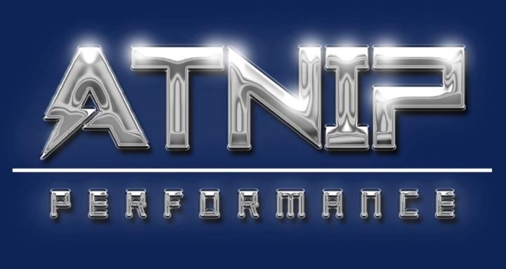 A.T.N.I.P. Performance 