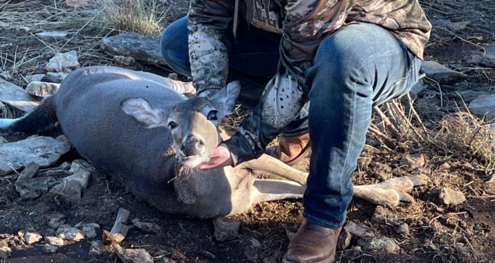 Buckin’ Bogeys 🦌🏌️‍♂️