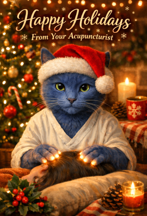 Merry Christmas from Healthy Matt